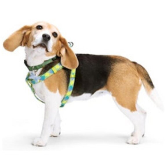 NWT ~ YOULY The Protector Yellow/Blue Reflective Dog Harness, XS/Small - Picture 12 of 14